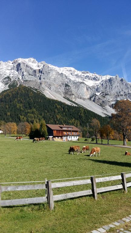 Alpenhaus Birkhahn Hotell Ramsau am Dachstein Eksteriør bilde